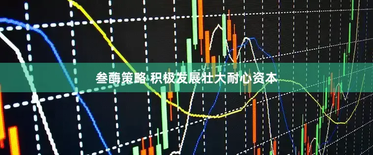 叁酶策略 积极发展壮大耐心资本