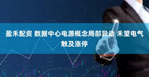 盈禾配资 数据中心电源概念局部异动 禾望电气触及涨停