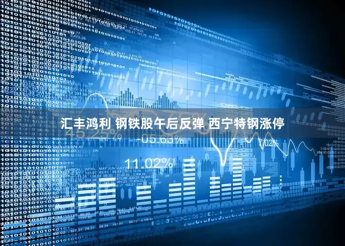 汇丰鸿利 钢铁股午后反弹 西宁特钢涨停